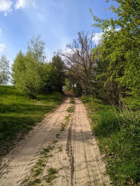 Bardzo piaszczysta droga pod górkę otoczona drzewami i krzewami.