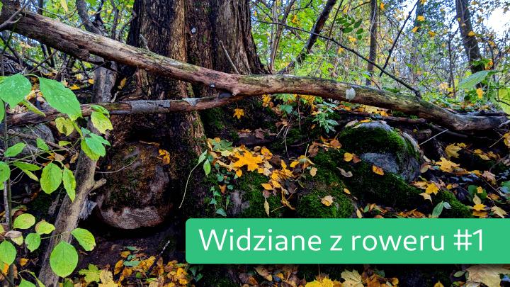 Widziane z roweru #1: Orle