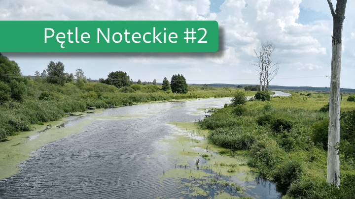 Średnia Pętla Notecka