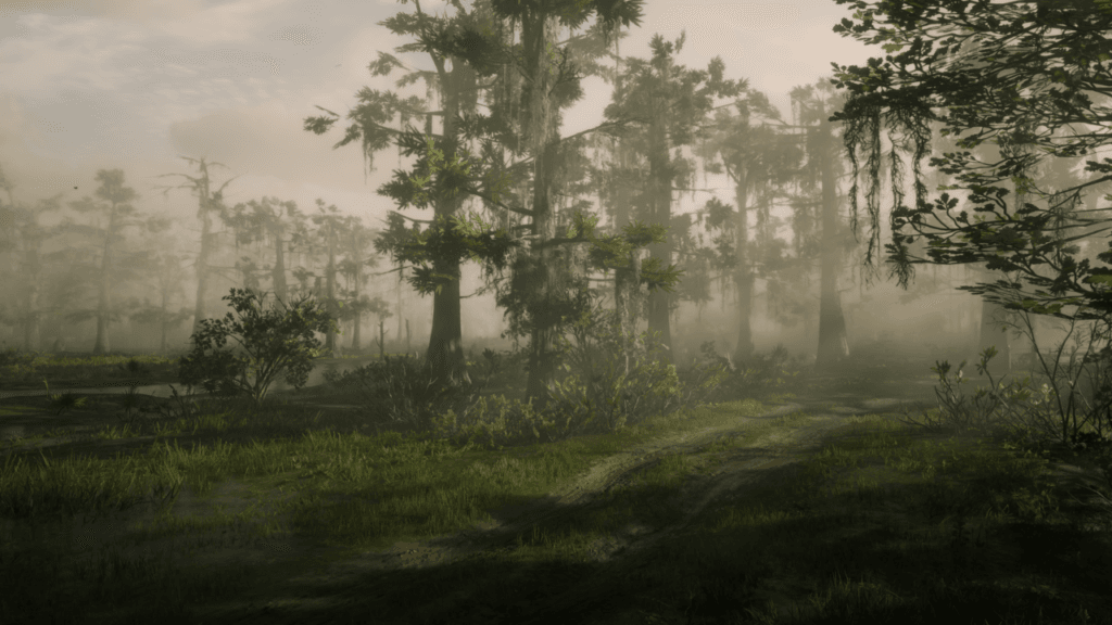 Spowite mgłą wysokie drzewa, najprawdopodobniej cypryśniki, rosnące na bagiennym terenie bayou. Na pierwszym planie błotnista droga. 