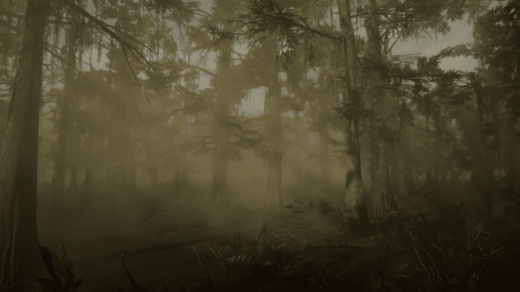 Mgła na bagnach, w której widać zarysy wysokich drzew.