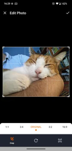 Ekran edycji dodawanego zdjęcia (głowa trójkolorowej kotki śpiącej na moim ramieniu) z siatką przycinania zdjęcia. Poniżej predefiniowane proporcje (m.in. 1:1, original i 16:9) i trzy ikony: docinanie, obrót i powiększanie.