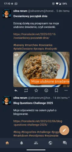 Bardzo podobny do Tusky ekran główny w Huskym, ale z dużo cieplejszymi kolorami. Tła są ciemnoniebieskie, akcenty pomarańczowe, może jasnobrązowe. Na dolnym pasku, poza ikonkami strony głównej, powiadomień, osi lokalnej i wiadomości bezpośrednich jak w tusku, jest też ikonka osi globalnej.