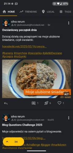 Ekran główny aplikacji Rodent. Na górze przelącznik kart: home, trending, local, tags. Poniżej wpisy z tego bloga. W lewym dolnym rogu duży żółty przycisk z liczbą 34. Ciemnoszare, prawe czarne tło, biały tekst, żółte odnośniki i akcenty.