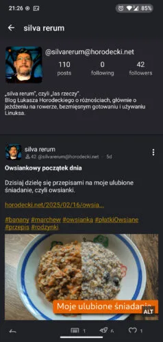 Profil silva rerum widziany w Rodencie. Górna część zawiera awatar, handle, statystyki, poniżej bio. Niżej, na ciemniejszym tle widać najnowszy wpis.