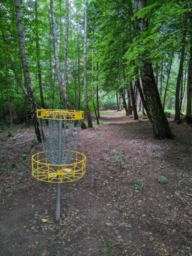 Kosz do disc golfa z w postaci dwóch kręgów z żółtych prętów. Dolny jest koszykiem, z górnego zwisają łańcuchy, które mają wyłapywać dyski. Kosz stoi w lesie, otoczony drzewami.
