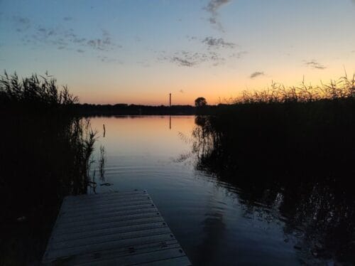 Jezioro w promieniach zachodzącego słońca widziane z niedużego, pływającego pomostu przez przerwę w sitowiu.