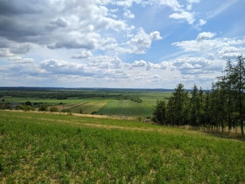 Widok na dolinę Noteci z zielonego pagórka. Szeroka płaszczyzna łąk przeciętych kępami drzew i krzewów.