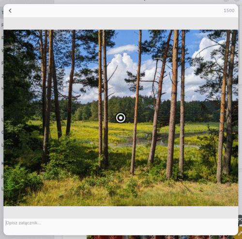 Okno edycji opisu mediów. Pod dużym zdjęciem rzadkiego rzędu sosen, pomiędzy którymi widać zarośnięte trzcinami rozlewisko, znajduje się pole tekstowe z zachętą „Opisz załącznik...”.