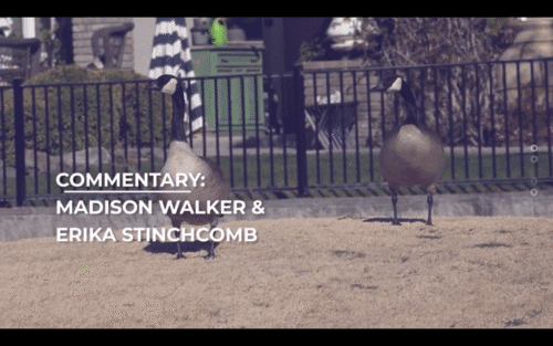 Kadr z transmisji turnieju disc golfa. Na ekranie są dwie gęsi, a napis głosi „Commentary: Madison Walker & Erica Stinchcomb”