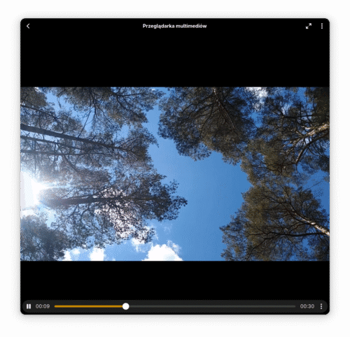 Okno Tuby w całości wypełnione przeglądarką multimediów, która właśnie odtwarza film z PeerTube, na którym widać szczyty drzew widzianych prosto spod nich.