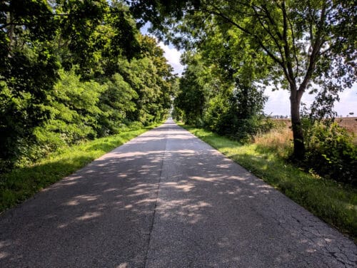 Szosa przez pola. Po lewej stronie ma gęstą ścianę drzew i krzewów, pomiędzy drzewami po prawej widać pole dojrzałego zboża.