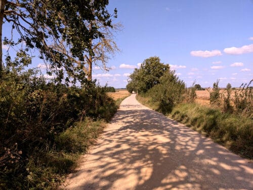 Piaszczysto-szutrowa droga przez pola, przy której rosną drzewa i krzewy.