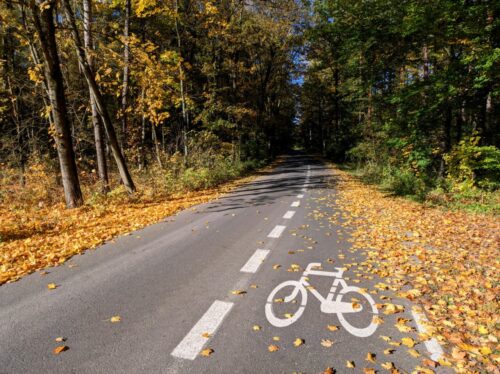 Na prowadzącej przez jesienny las szosie wydzielono po prawej stronie pas dla rowerów.