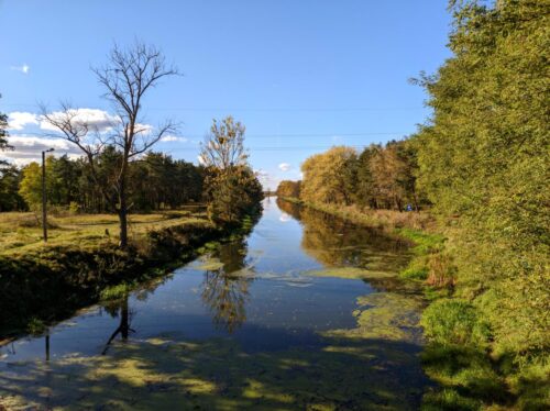 Niezbyt szeroka, częściowo pokryta rzęsą rzeka płynie leniwie pod błękitnym niebem.