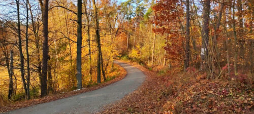 Droga szutrowa skręcająca w lewo, prowadząca przez las pełen żółtych, pomarańczowych i czerwonych liści.