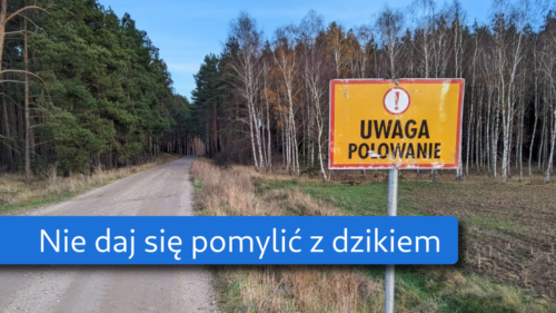 Uwaga, polowanie!