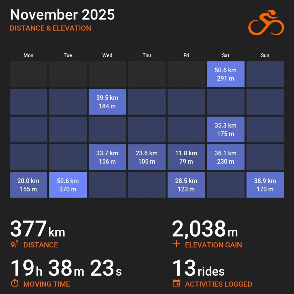 Infografika z serwisu Ride with GPS w postaci kalendarza na listopad z zaznaczonymi aktywnościami. Pod kalendarzem statystyki: dystans 377 kilometrów, czas w ruchu 19 godzin 38 minut i 23 sekundy, suma przewyższeń 2038 metrów, 13 zarejestrowanych aktywności.
