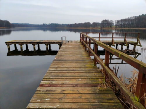 Nieduży drewniany pomost w kształcie litery T na jeziorze. Po prawej stronie widać trochę suchego sitowia.