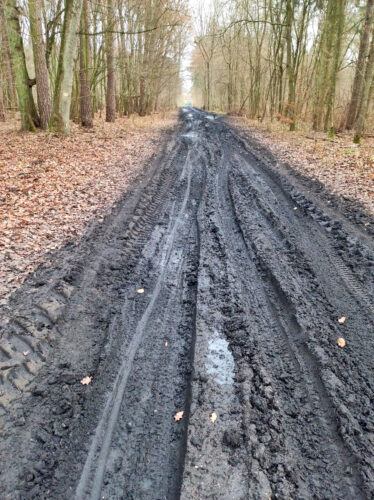 Bardzo błotnista droga gruntowa przez las pełen brązowych liści.