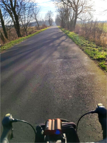 Pusta asfaltowa droga otoczona rzędami drzew i krzewów widziana zza kierownicy roweru.