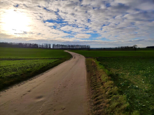 Skręcająca w lewo droga przez pola prowadząca w stronę rzadkiego lasu. Przez warstwę białych chmur na błękitnym niebie po lewej stronie prześwieca słońce.