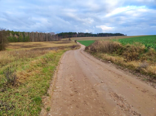 Szutrowa droga przez pola prowadząca w stronę lasu. Droga schodzi ze wzgórza, skręcając w prawo, a potem odbija w lewo.