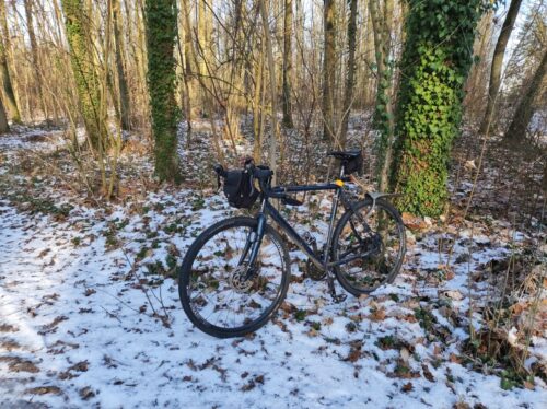 Ciemnoniebieski rower szutrowy Ridley stoi na ośnieżonym poboczu, oparty o nieduże bezlistne drzewko a w tle znajduje się mieszany las z kilkoma drzewami oplecionymi zielonym bluszczem.