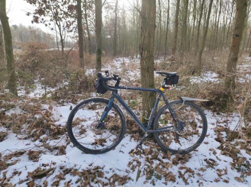 Ciemnoniebieski rower szutrowy stoi oparty o drzewo na skraju zaśnieżonego lasu. Spod śniegu wystają suche dębowe liście.