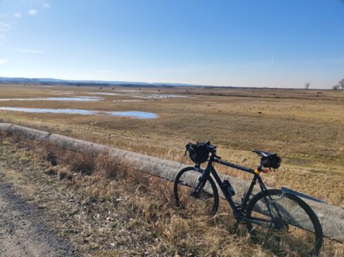 Ten sam rower szutrowy oparty o betonową barierę przy drodze, za którą widać połacie łąk z suchą trawą, na których stoją wielkie kałuże wody z roztopów.