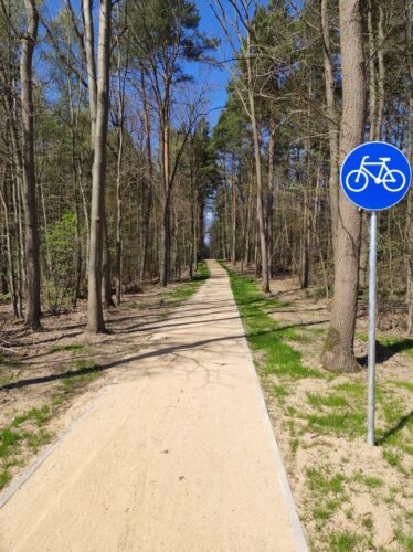Nowiutka szutrowa droga dla rowerów przez las. Po prawej stoi znak C-13.