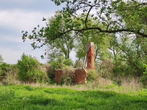Zarośnięte roślinnością ruiny budynku, z którego została jedna ściana i komin.