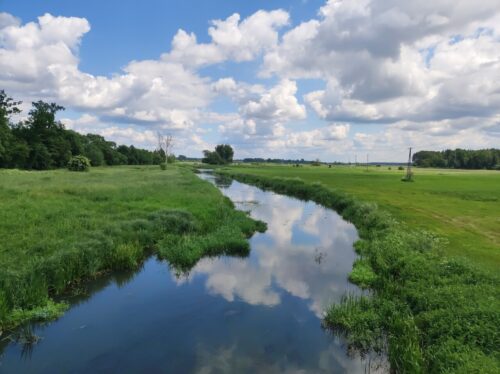 Płynąca przez łąki niezbyt szeroka rzeka widziana z mostu, skręcająca najpierw w lewo, a trochę dalej w prawo.