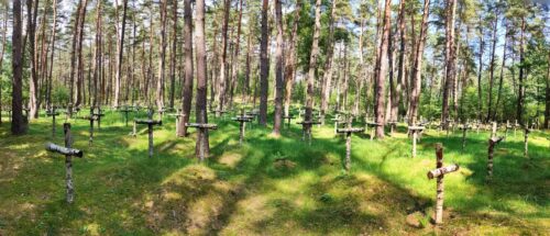 Panorama fragmentu lasu wypełnionego rzędami brzozowych krzyży, przed którymi znajdują się porośnięte trawą i mchem pagórki grobów.