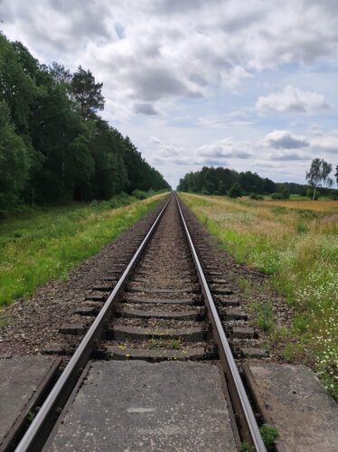 Pojedynczy tor kolejowy prowadzący przez las i znikający w oddali. 