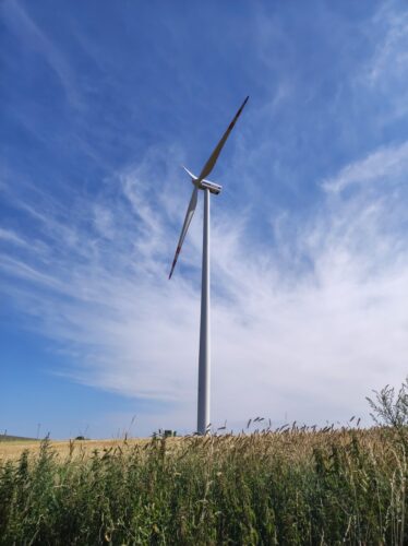 Turbina wiatrowa stoi w polu dojrzewającego zboża.