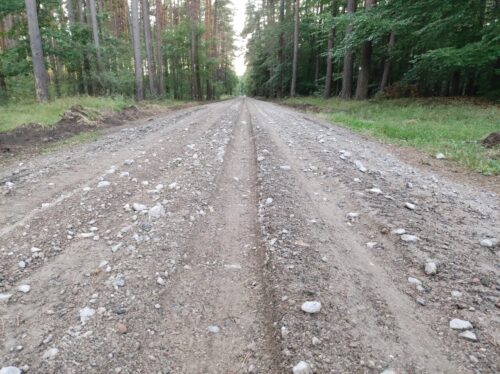 Droga szutrowa przez las z koleinami w rozoranej, luźnej nawierzchni.