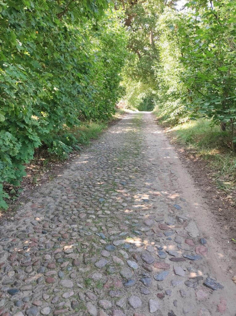 Brukowany podjazd na drodze otoczonej gęstymi krzewami i drzewami.