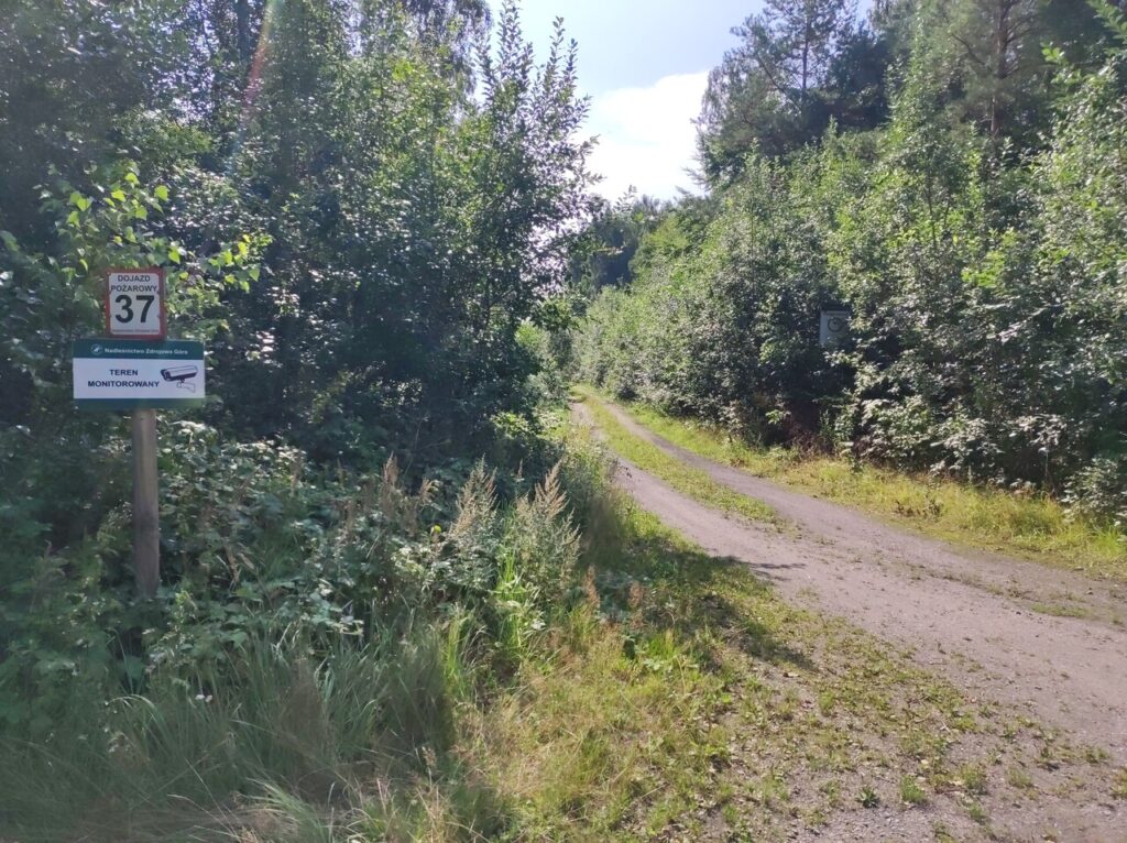 Gruntowa droga przez las, otoczona gęstymi krzewami. Po lewej na drewnianym słupku tabliczka „Dojazd pożarowy 37”, poniżej „Teren monitorowany. Nadleśnictwo Zdrojowa Góra”