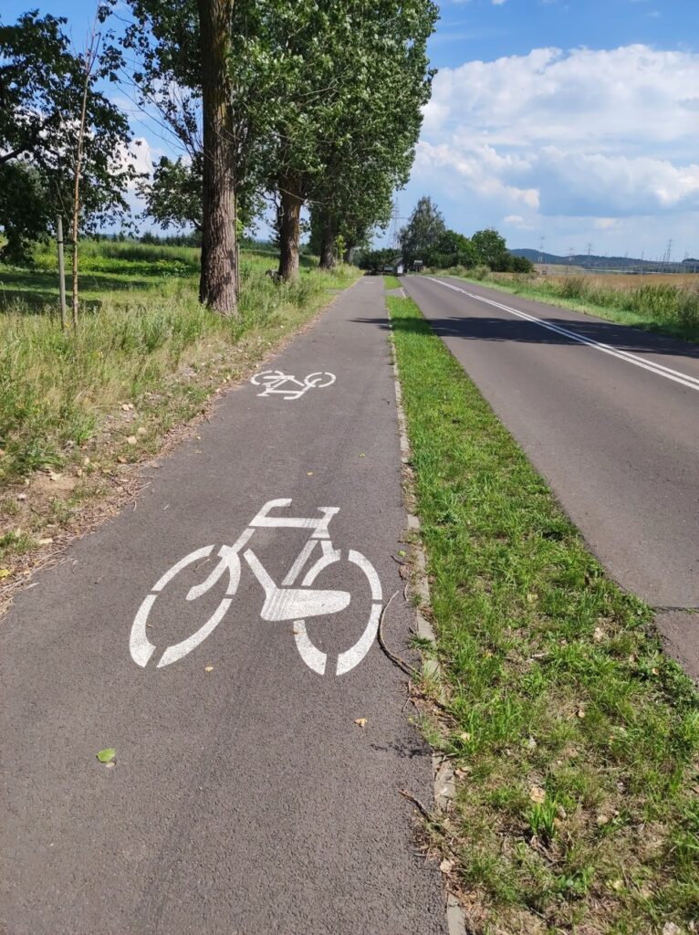 Asfaltowa droga dla rowerów biegnąca wzdłuż widocznej po prawej stronie szosy. Na lewo od DDR szpaler topól.