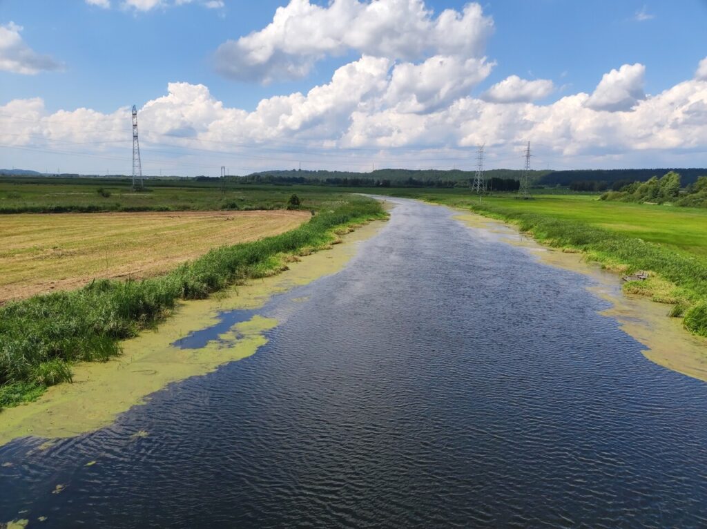 Skręcająca w lewo rzeka płynąca przez łąki. Najbliższa łąka po prawej jest skoszona i zebrano z niej siano. Przed pasem sitowa po obu stronach rzeki na wodzie unosi się rzęsa. 