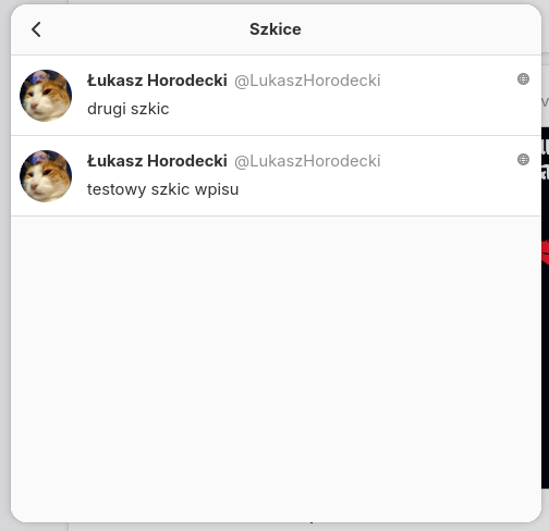 Lista szkiców, która wyświetla się po kliknięciu tamtego przycisku. Na liście dwa testowe wpisy „testowy szkic wpisu” oraz „drugi szkic”.