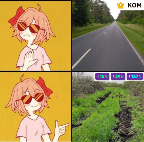 Mem używający templatki Sayori Drake. Na górze Sayori odmawia zainteresowania zdjęciem pustej, gładkiej i prostej szosy z ikoną korony i KOM ze Stravy, poniżej pokazuje finger gunem na zdjęcie błotnistej, rozrytej przez traktor i zarośniętej trawą drogi przez łąki, ze statystykami zebranych kwadratów na Squadrats.
