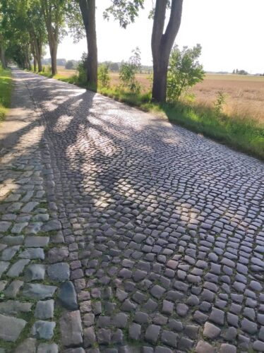 Równa droga brukowana z czerwonawego kamienia. Pobocze po lewej stronie jest również wybrukowane, ale kamienie są mniej regularnie i różnego koloru.