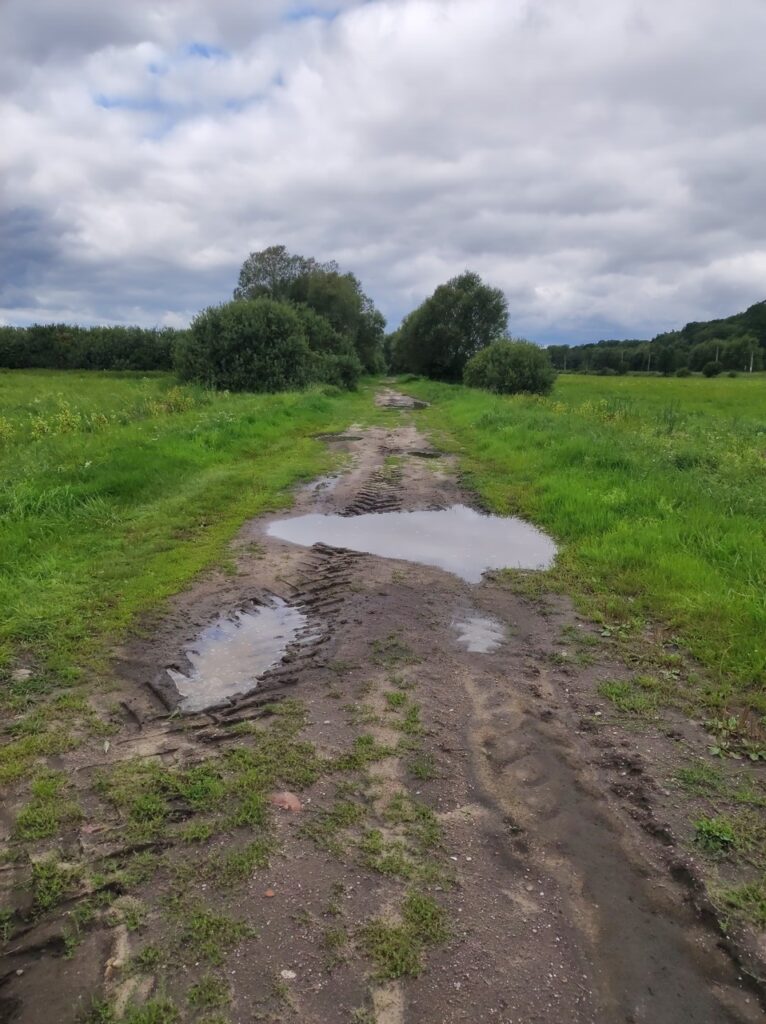 Błotnista droga gruntowa przez łąki ze sporymi kałużami.