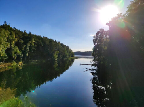 Widok na otoczoną lasami rzekę Brdę, która kawałek dalej rozszerza się w wody Zalewu Koronowskiego. Zdjęcie zrobione pod mocne słońce nad drzewami po prawej stronie.